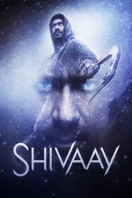 Shivaay (2016) mmsub