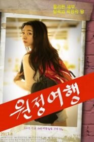 Exploratory Holiday (2017) mmsub