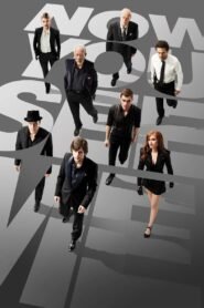Now You See Me (2013) mmsub