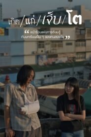 The Summer We Met (2025) mmsub