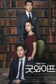 The Good Wife (2016) mmsub