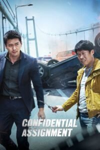 Confidential Assignment (2017) mmsub