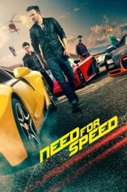 Need for Speed (2014) mmsub