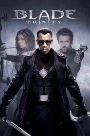 Blade: Trinity (2004) mmsub