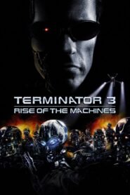 Terminator 3: Rise of the Machines (2003) mmsub