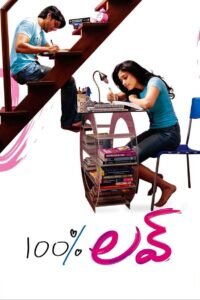 100% Love (2011) mmsub