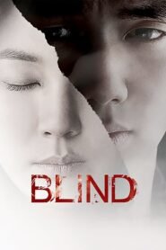 Blind (2011) mmsub