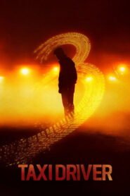 Taxi Driver: Season 3